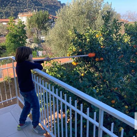 La Terrazza Family Holidays - Sorrento Coast サンタニェッロ エクステリア 写真