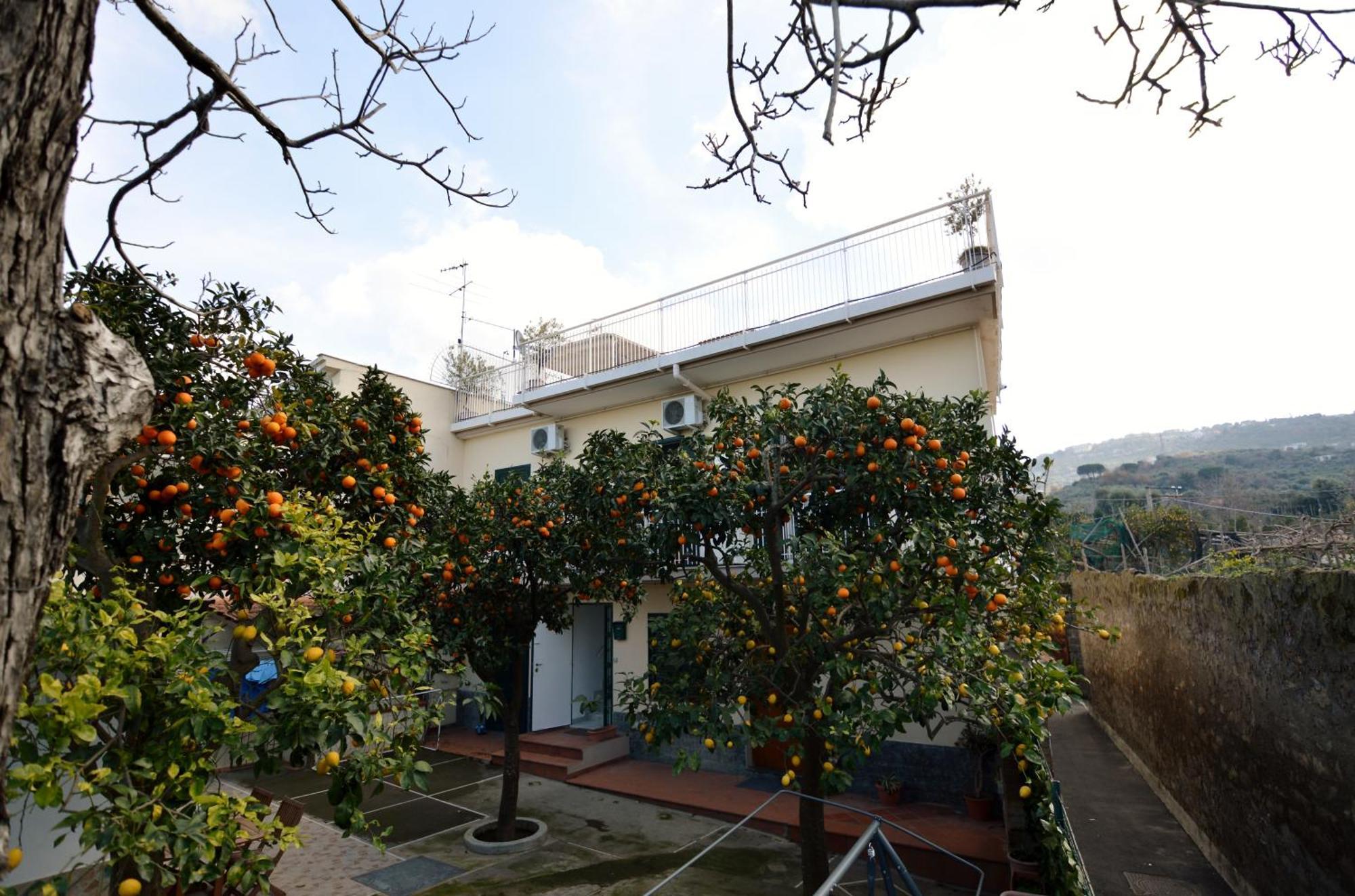 La Terrazza Family Holidays - Sorrento Coast サンタニェッロ エクステリア 写真
