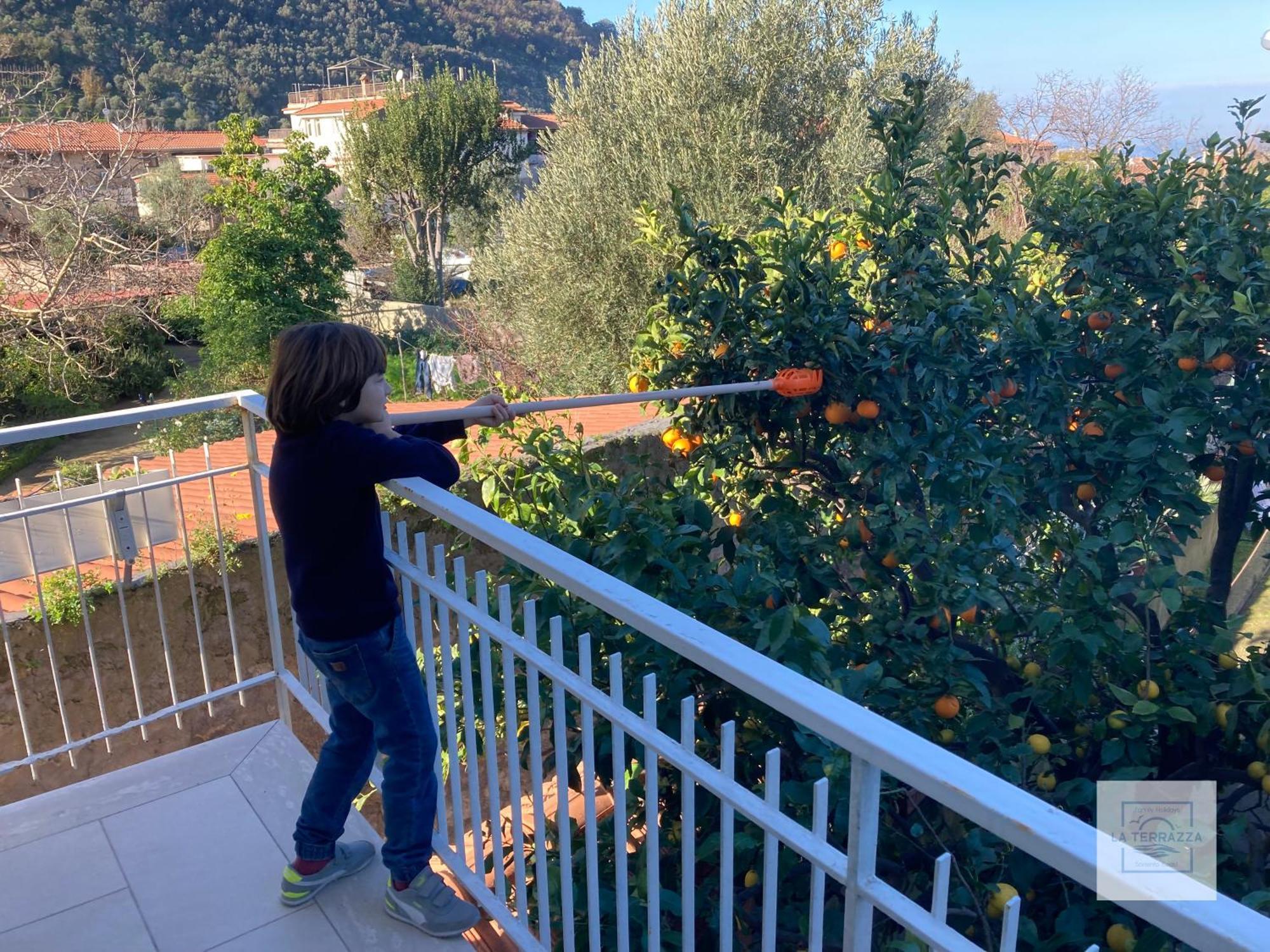 La Terrazza Family Holidays - Sorrento Coast サンタニェッロ エクステリア 写真